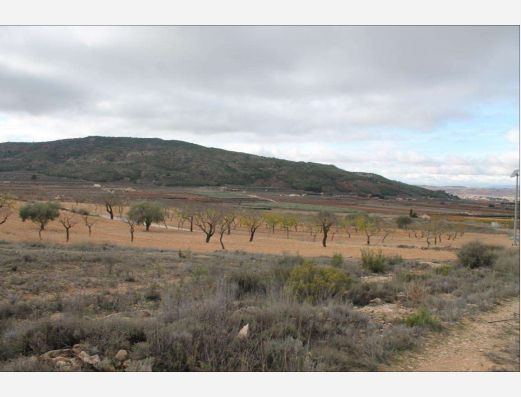 Plot of land near Pinoso, Alicante