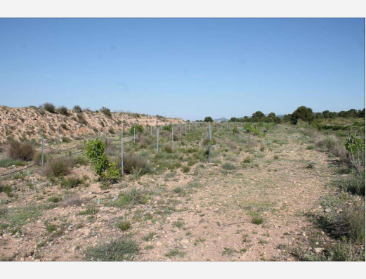 Plot of land near Ubeda